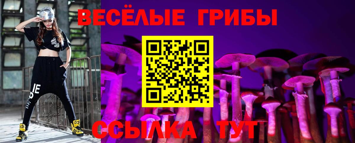 Галлюциногенные грибы мицелий  Вход с VPN  Чистополь  Галлюциногенные грибы MAGIC MUSHROOMS 